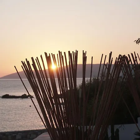 Pyrthea * Koufonisia